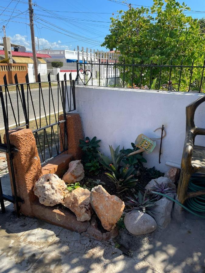 Zipcode Hideaway Guesthouse Portmore Exterior foto